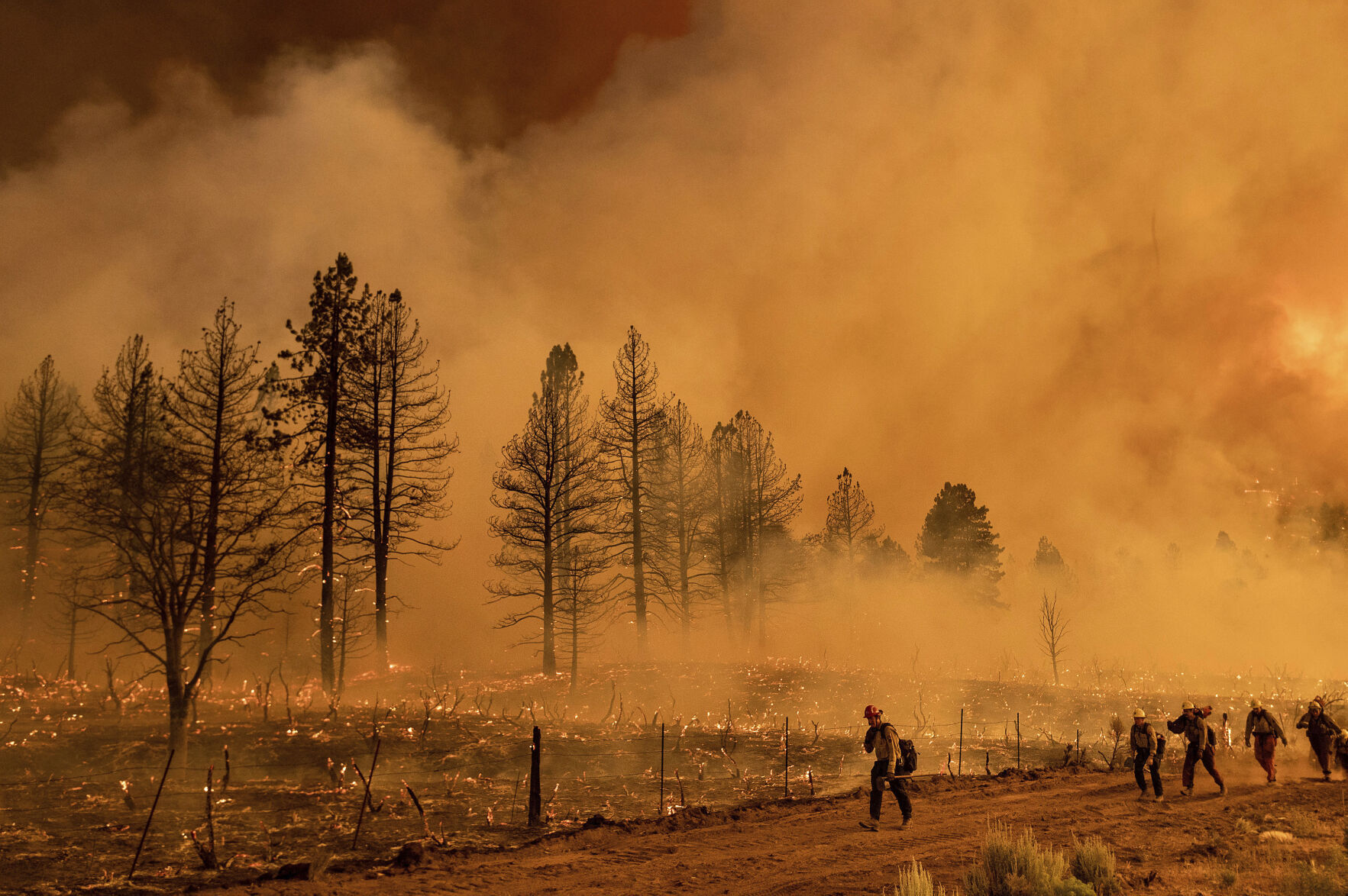 California Wildfires